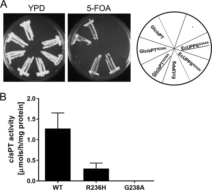 Figure 6.