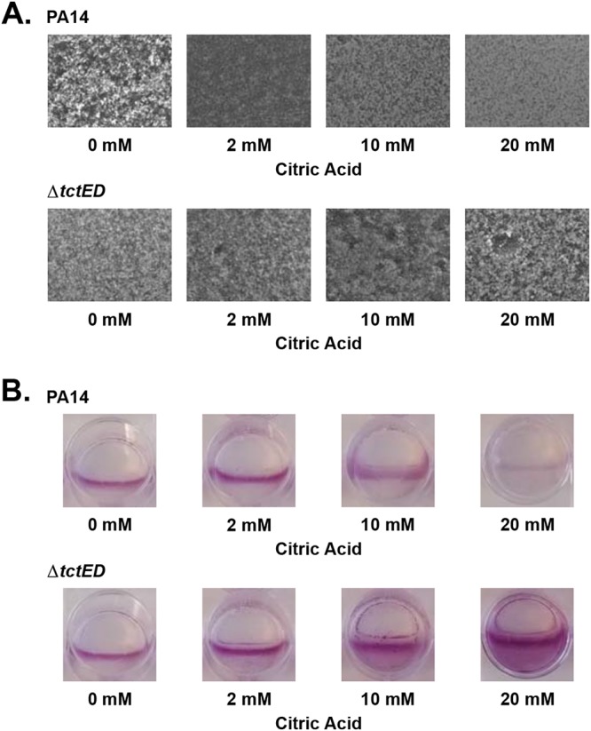 FIG 3