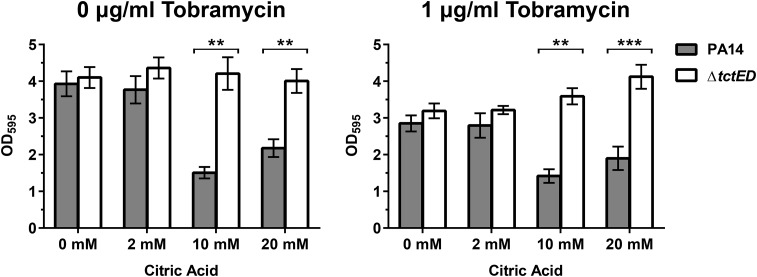 FIG 2