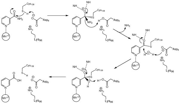 Scheme 3