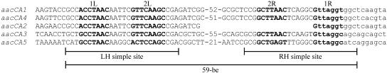 FIG. 2.