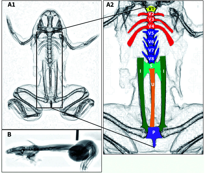 Figure 3.