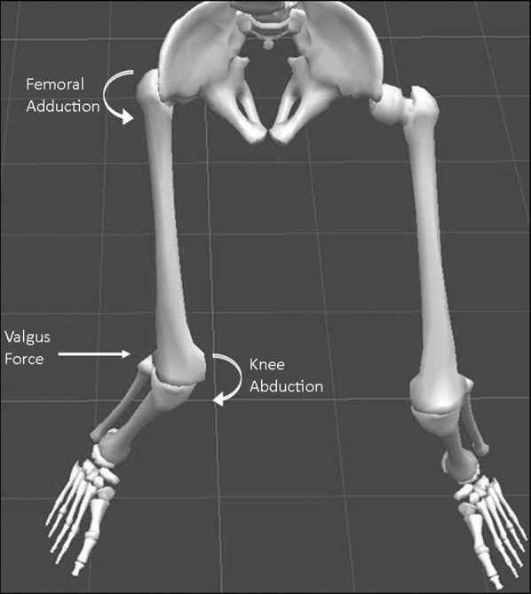 Fig 3