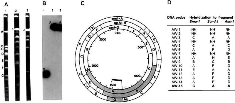 FIG. 1