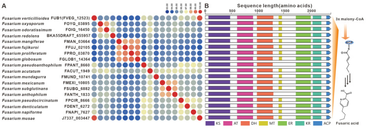 Figure 15