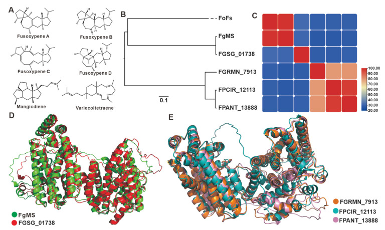 Figure 5