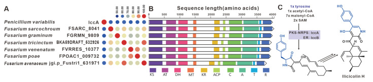 Figure 25