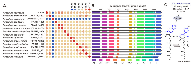 Figure 23