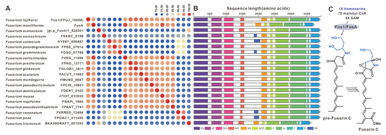 Figure 21