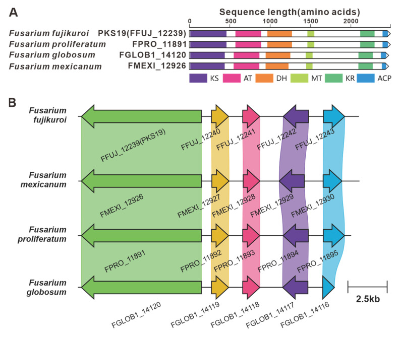 Figure 19