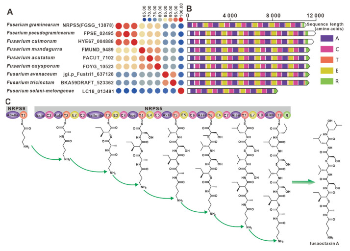 Figure 10