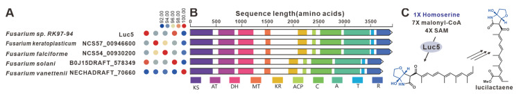 Figure 22