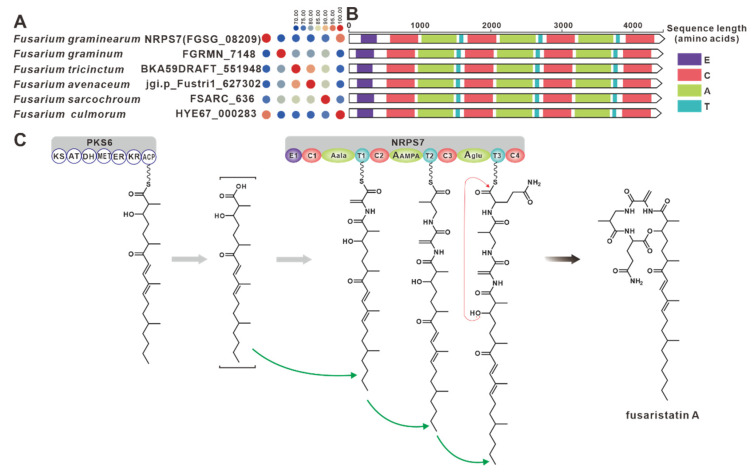 Figure 12