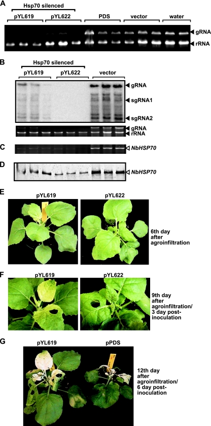 FIG. 5.