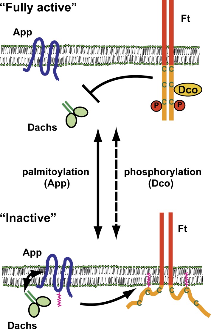 Figure 7.