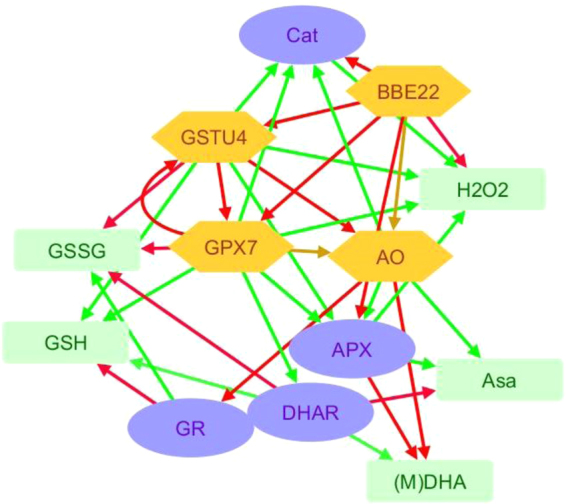 Figure 7