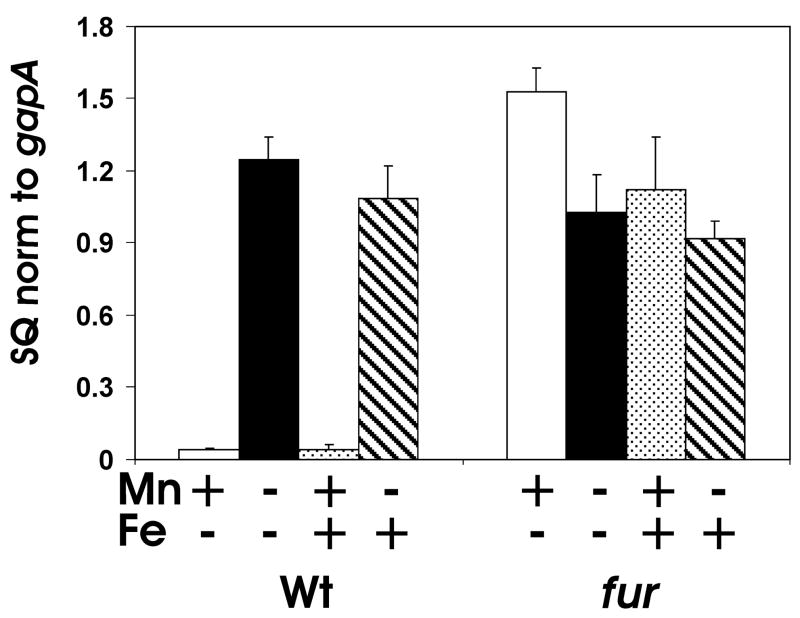 Fig. 6