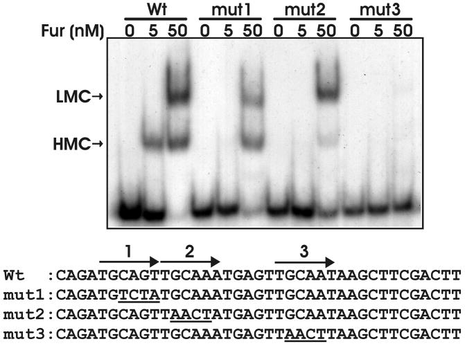 Fig 9