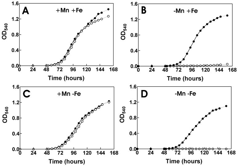 Fig. 4