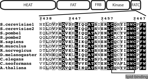 FIGURE 1.