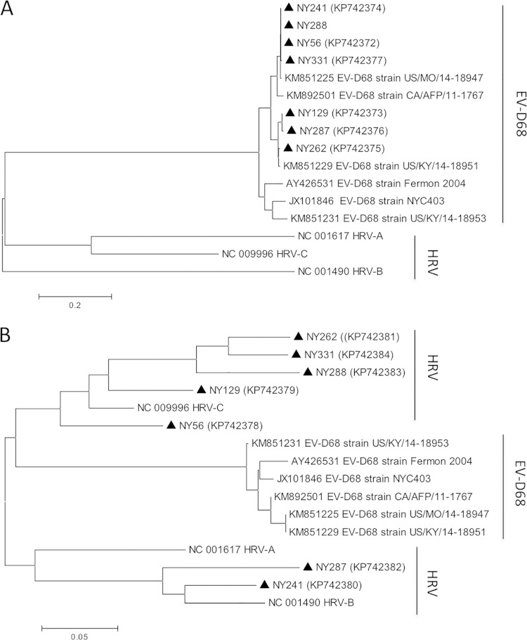 FIG 3