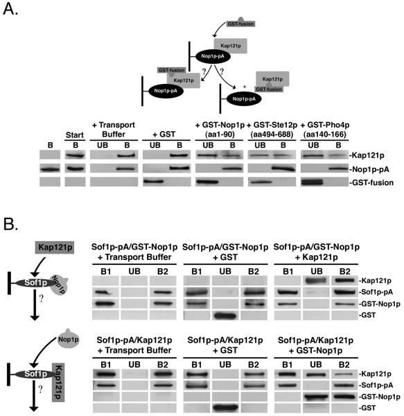 FIG. 8.