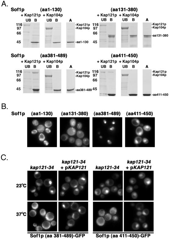 FIG. 7.