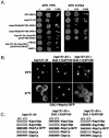FIG. 4.