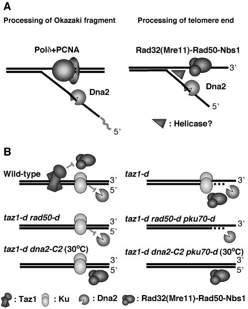 FIG. 7.