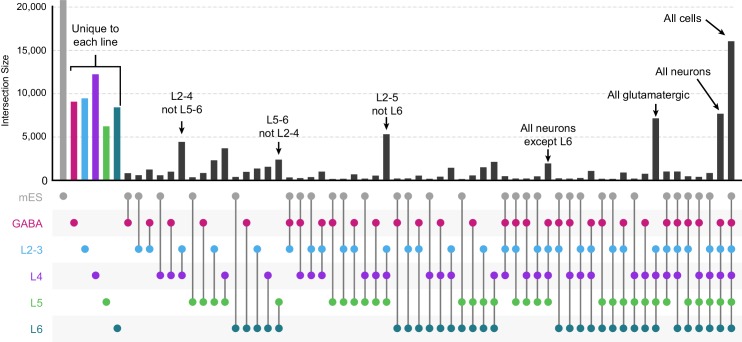 Figure 3—figure supplement 2.