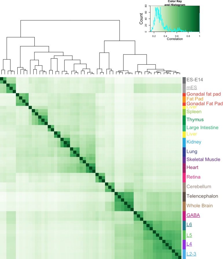 Figure 3—figure supplement 3.