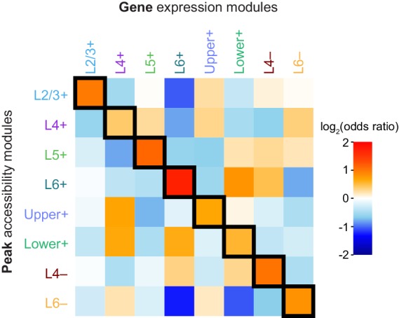 Figure 5—figure supplement 2.