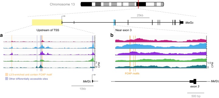 Figure 12.