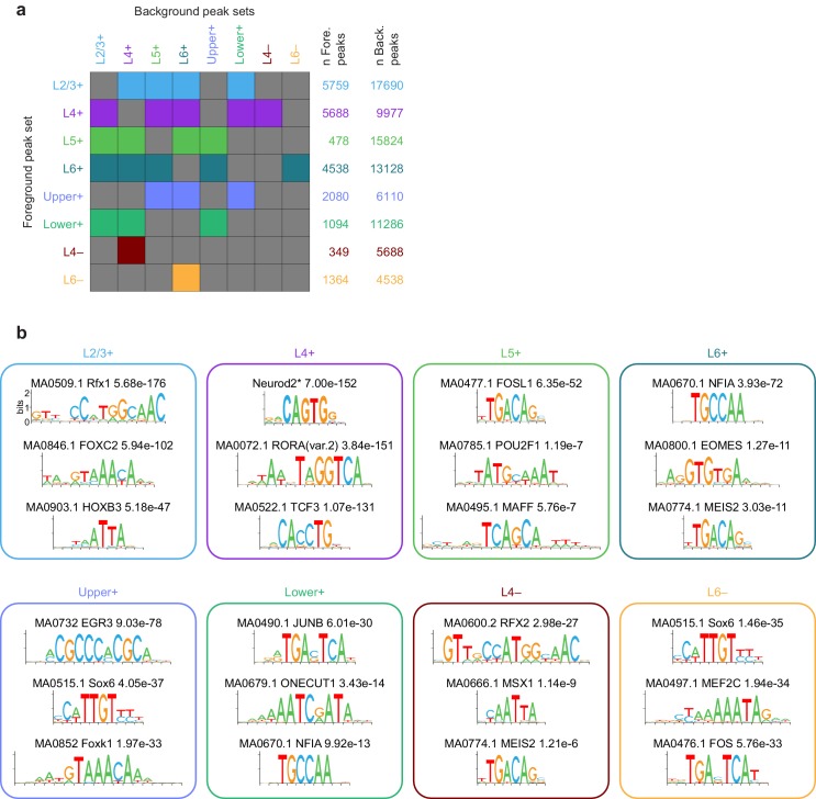 Figure 6—figure supplement 1.