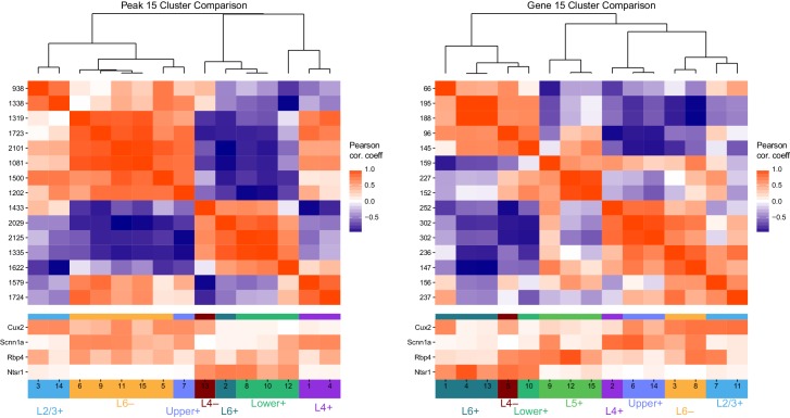 Figure 5—figure supplement 1.