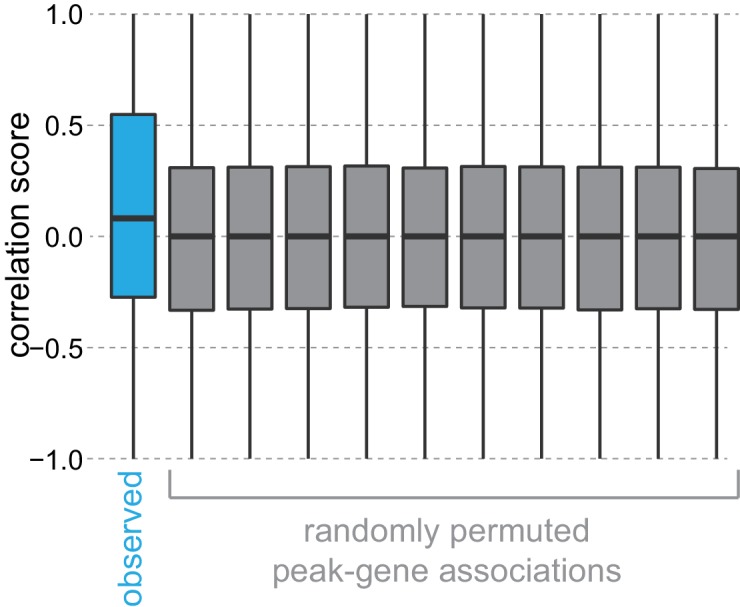 Figure 4—figure supplement 2.