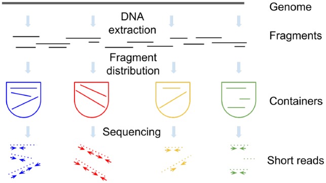 Fig. 1.