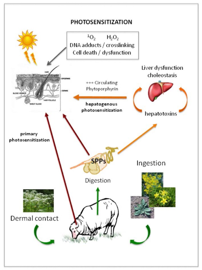 Figure 3.