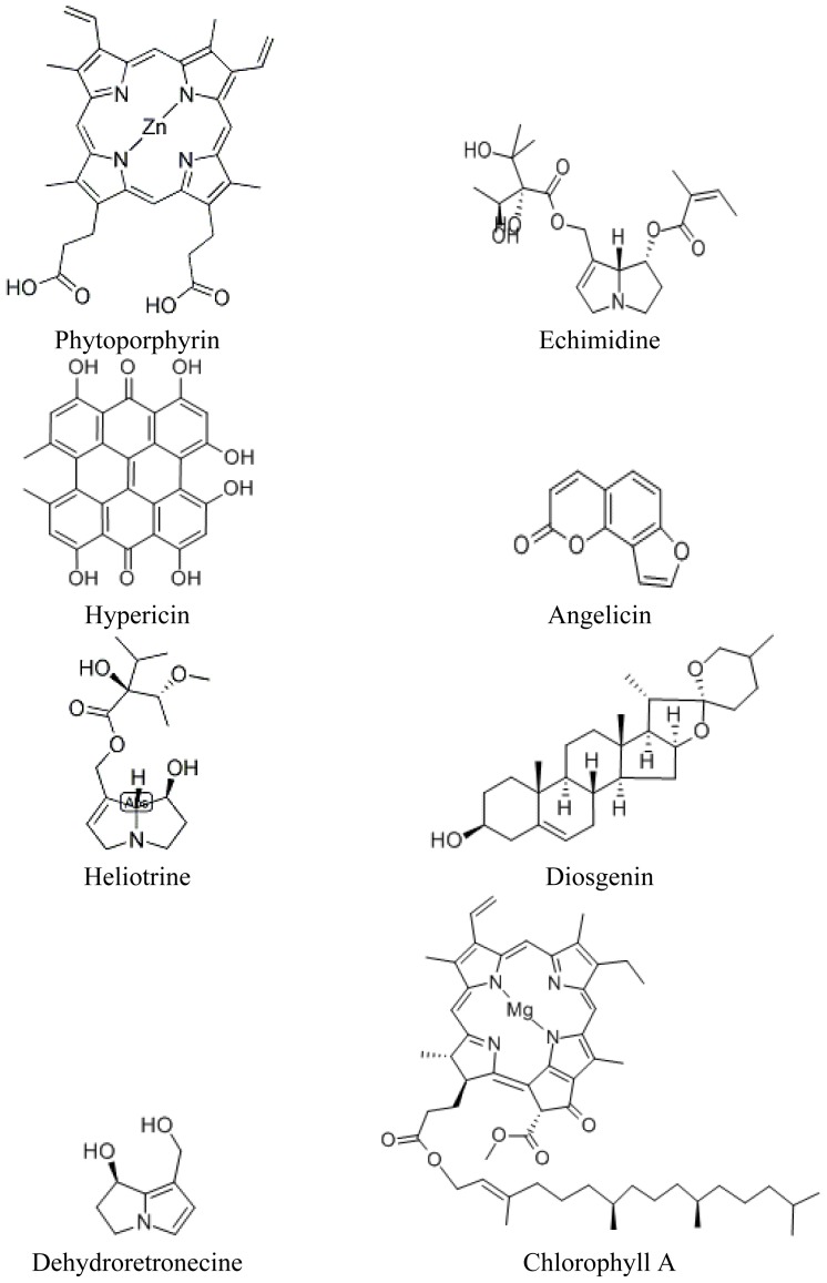 Figure 2.