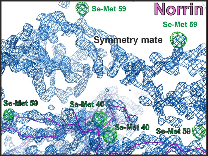 Figure 2—figure supplement 1.