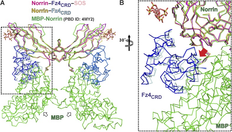 Figure 4—figure supplement 4.