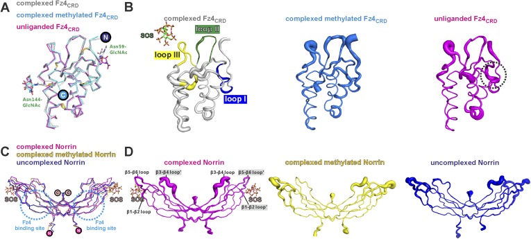 Figure 4—figure supplement 3.