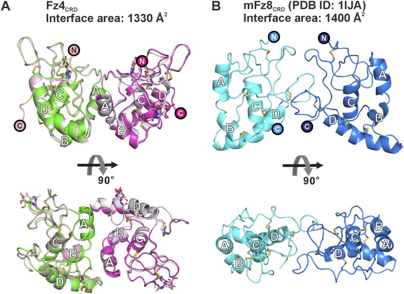 Figure 3—figure supplement 2.