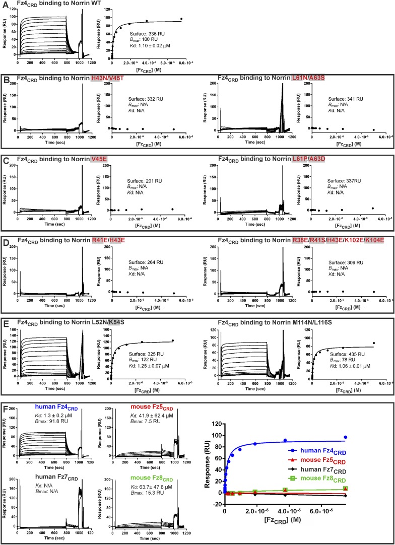 Figure 6—figure supplement 1.