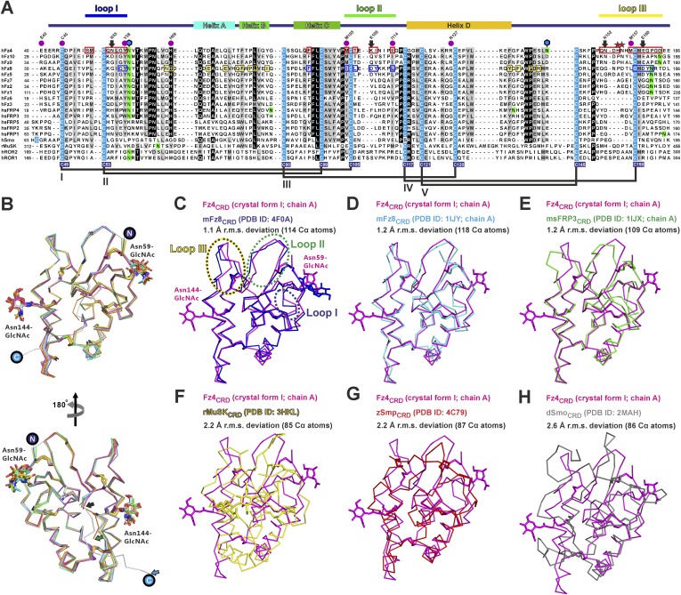 Figure 3—figure supplement 1.