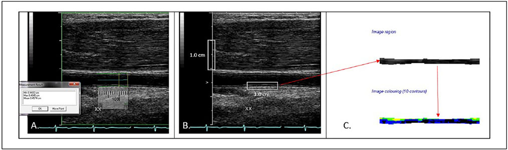 Figure 2.