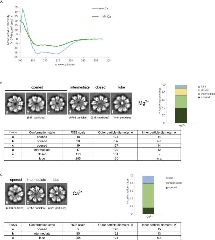 Figure 1