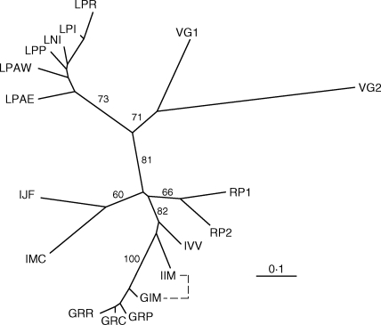 Fig. 5.