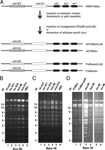 FIG. 3.