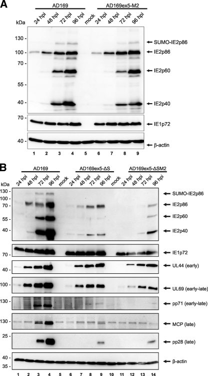 FIG. 9.